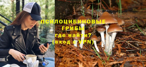 амф Липки