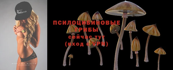 PSILOCYBIN Лиски