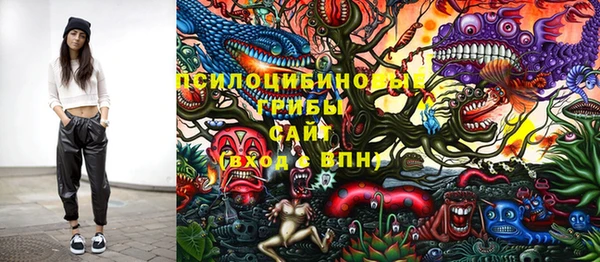 амф Липки